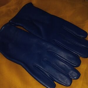 Blue Winter Leather GLOVES